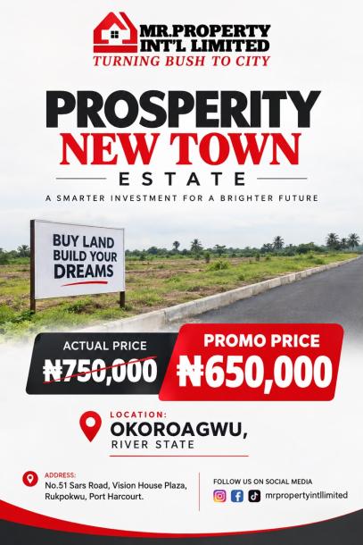 Prosperity New Town Estate - Okoroagwu Phase 2-1